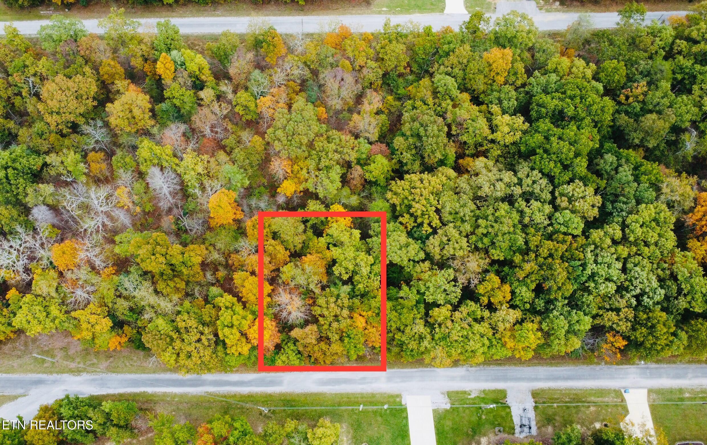 905 Veho Circle Property Photo 3
