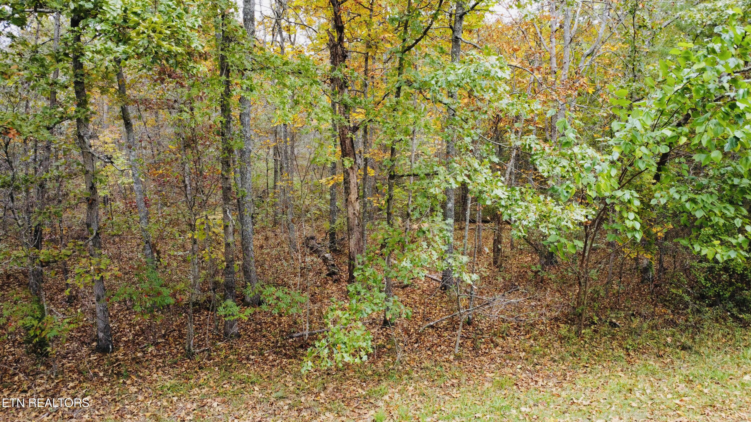 905 Veho Circle Property Photo 6