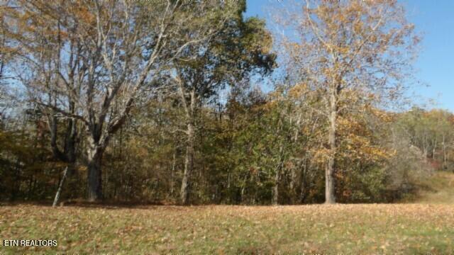 8.60ac Moss Arcot Rd Property Photo 3