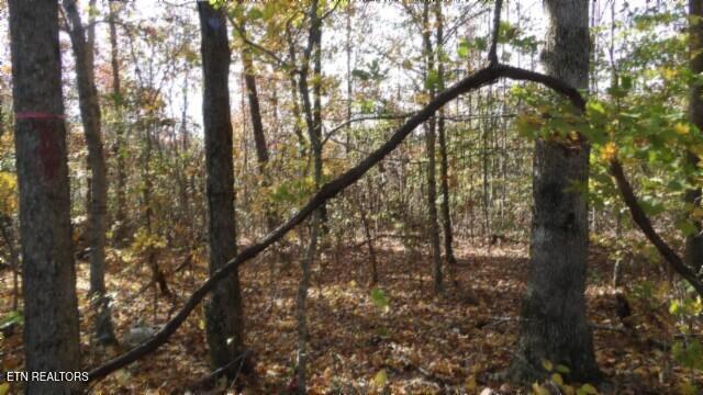 8.60ac Moss Arcot Rd Property Photo 4