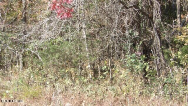 8.60ac Moss Arcot Rd Property Photo 5