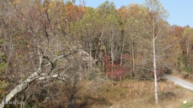 8.60ac Moss Arcot Rd Property Photo 6