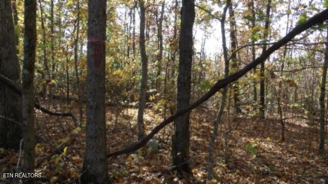 8.60ac Moss Arcot Rd Property Photo 8