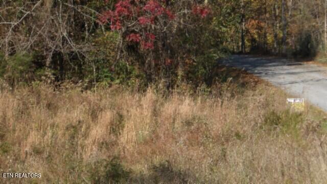 8.60ac Moss Arcot Rd Property Photo 9