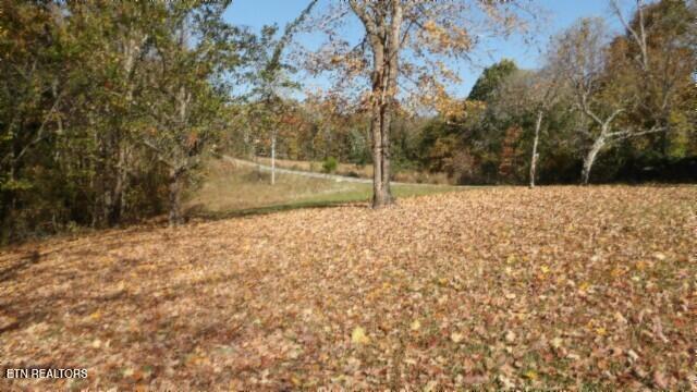 8.60ac Moss Arcot Rd Property Photo 10