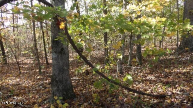 8.60ac Moss Arcot Rd Property Photo 13