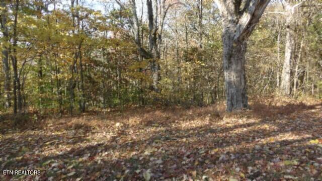 8.60ac Moss Arcot Rd Property Photo 14