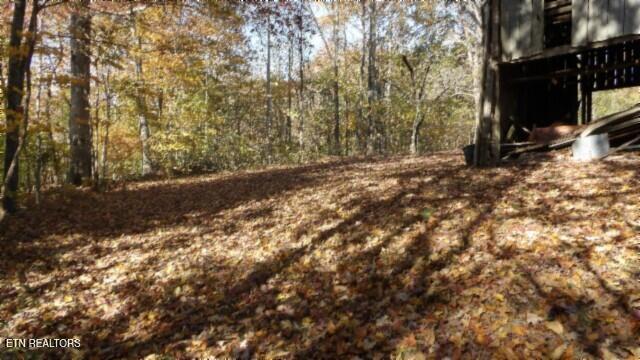 8.60ac Moss Arcot Rd Property Photo 15