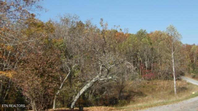 8.60ac Moss Arcot Rd Property Photo 18