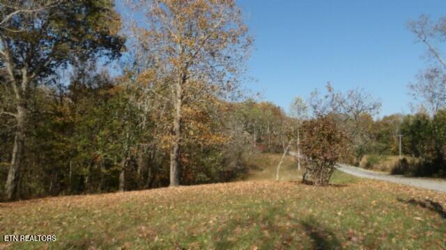 8.60ac Moss Arcot Rd Property Photo 19