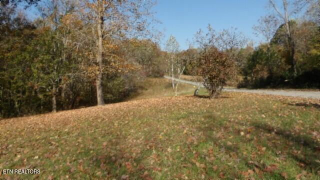 8.60ac Moss Arcot Rd Property Photo 20