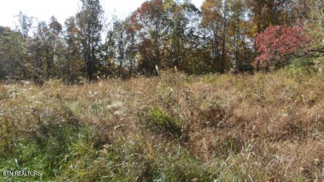 8.60ac Moss Arcot Rd Property Photo 22