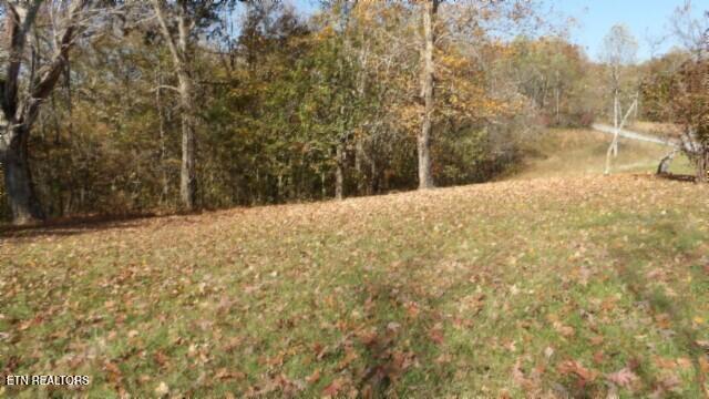 8.60ac Moss Arcot Rd Property Photo 23