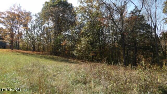 8.60ac Moss Arcot Rd Property Photo 24