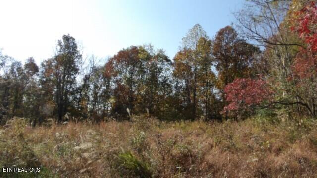 8.60ac Moss Arcot Rd Property Photo 25