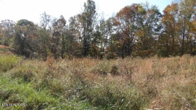 8.60ac Moss Arcot Rd Property Photo 26