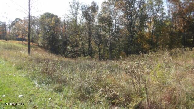 8.60ac Moss Arcot Rd Property Photo 27