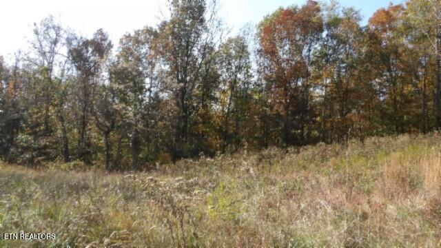 8.60ac Moss Arcot Rd Property Photo 29