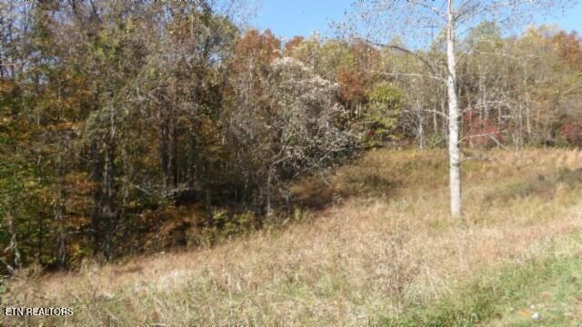8.60ac Moss Arcot Rd Property Photo 30