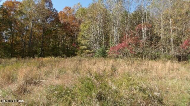 8.60ac Moss Arcot Rd Property Photo 32