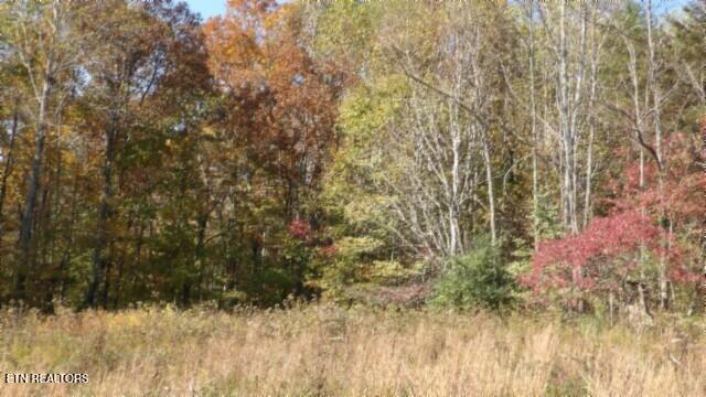8.60ac Moss Arcot Rd Property Photo 33