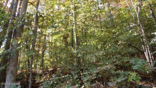 8.60ac Moss Arcot Rd Property Photo 35