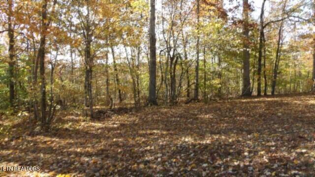 8.60ac Moss Arcot Rd Property Photo 36