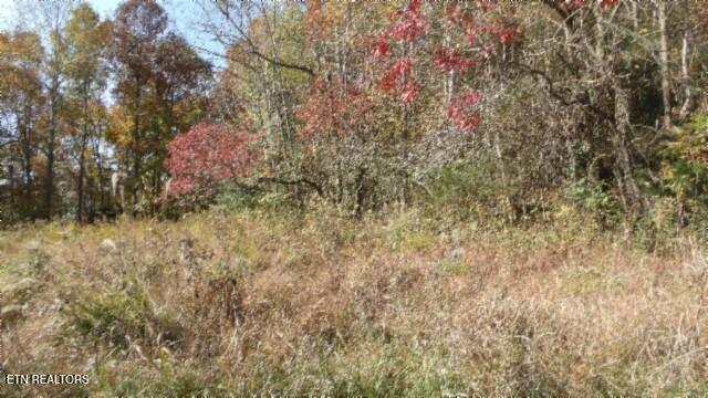 8.60ac Moss Arcot Rd Property Photo 37