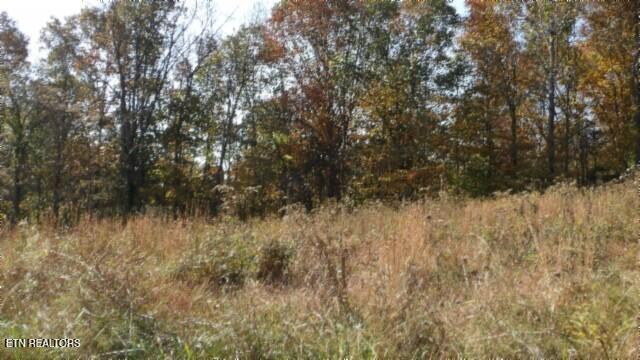 8.60ac Moss Arcot Rd Property Photo 39