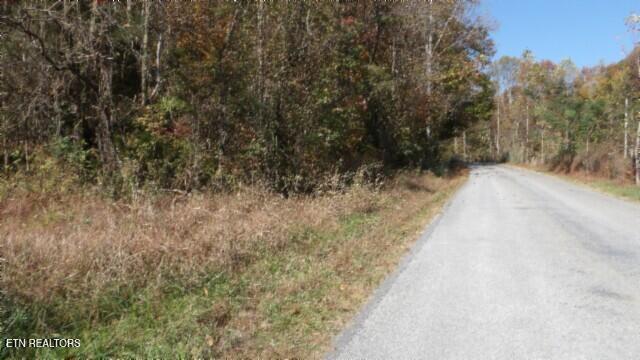 8.60ac Moss Arcot Rd Property Photo 48