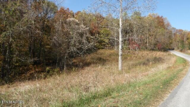 8.60ac Moss Arcot Rd Property Photo 52