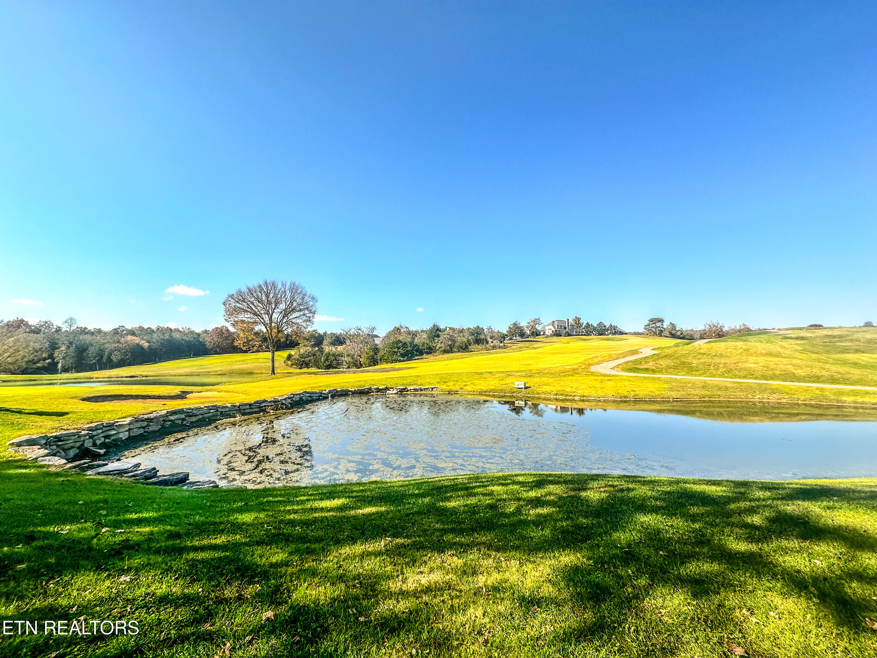 656 Bluegreen Way Property Photo 1