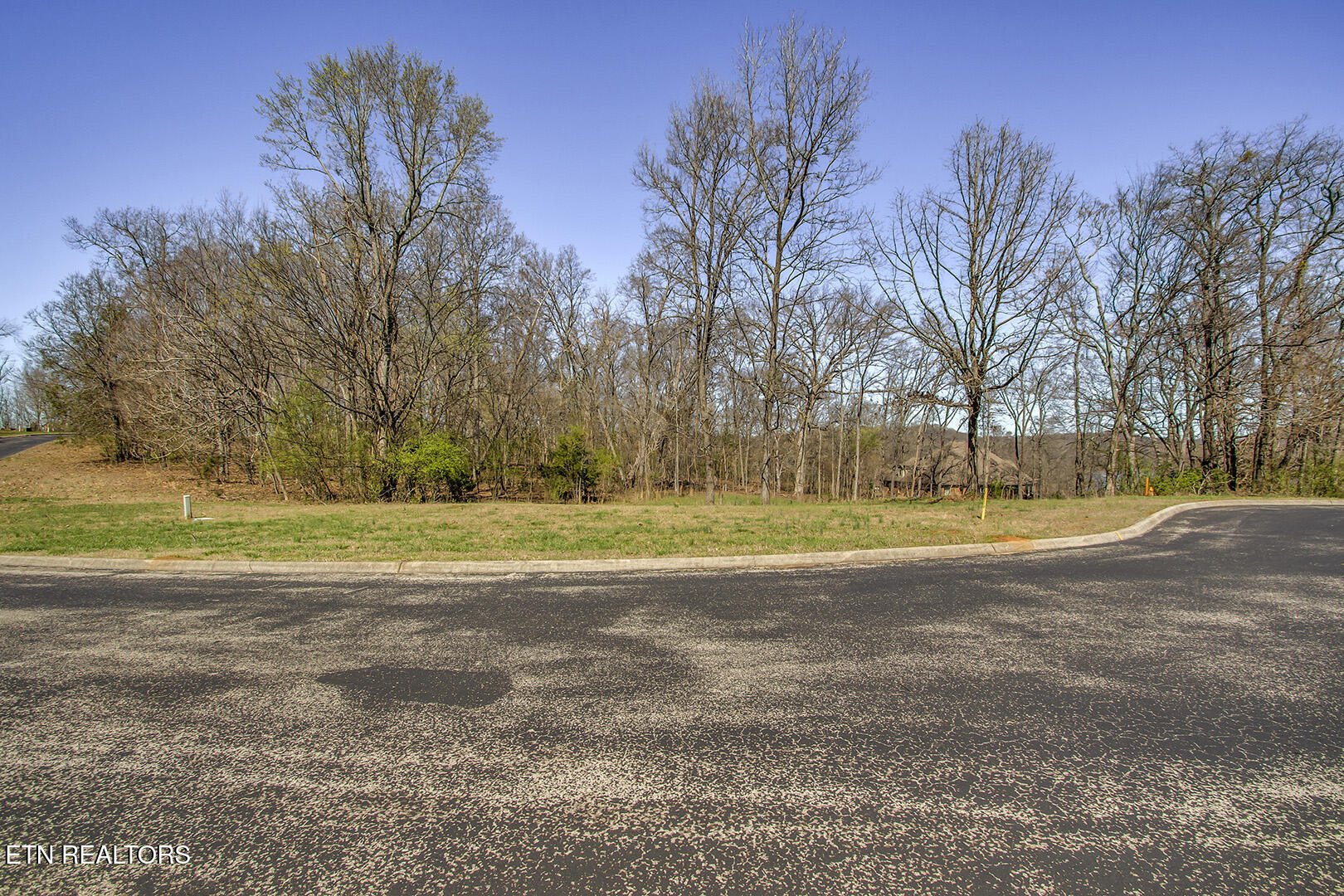141 Song Sparrow Drive Property Photo 6