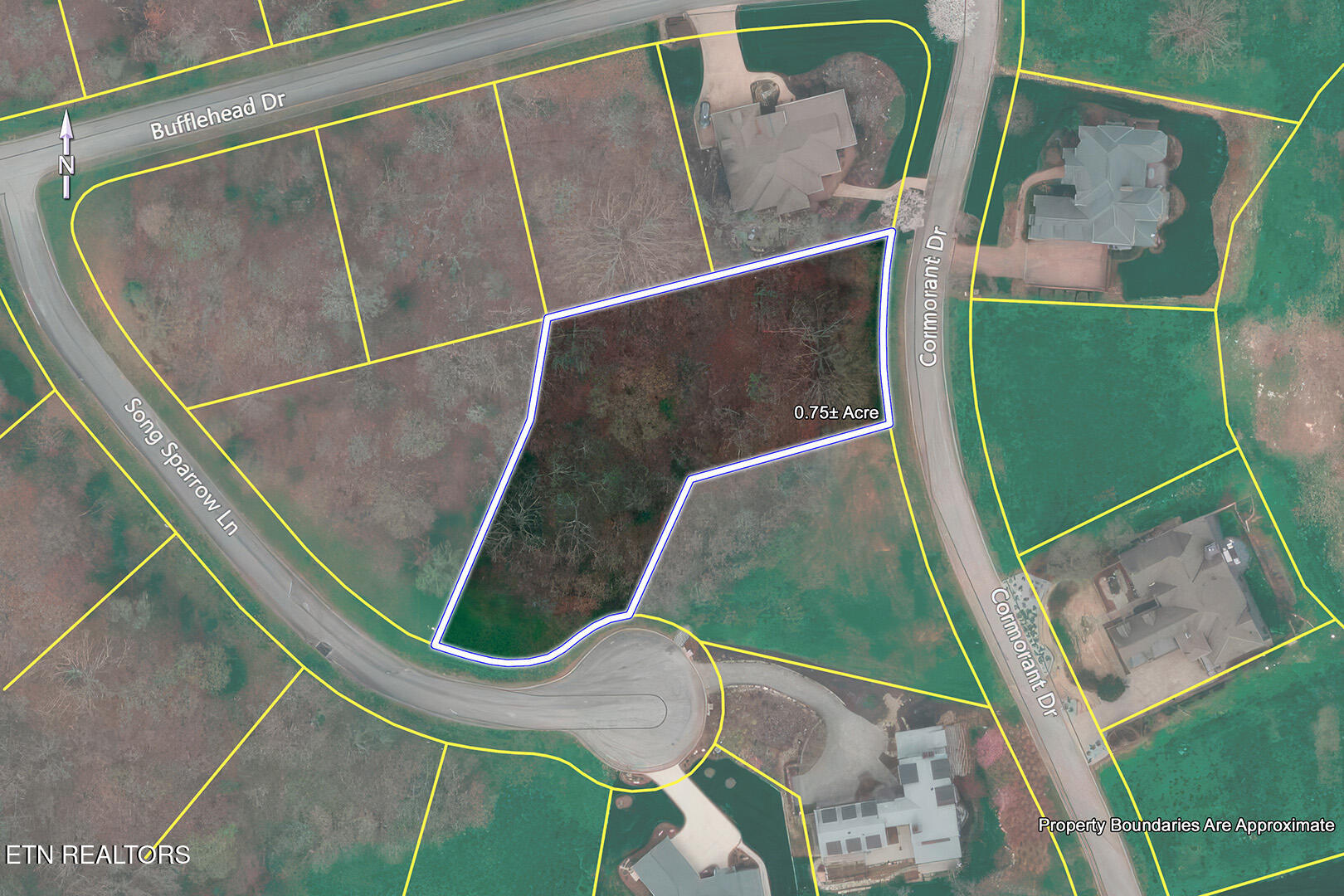 141 Song Sparrow Drive Property Photo 23