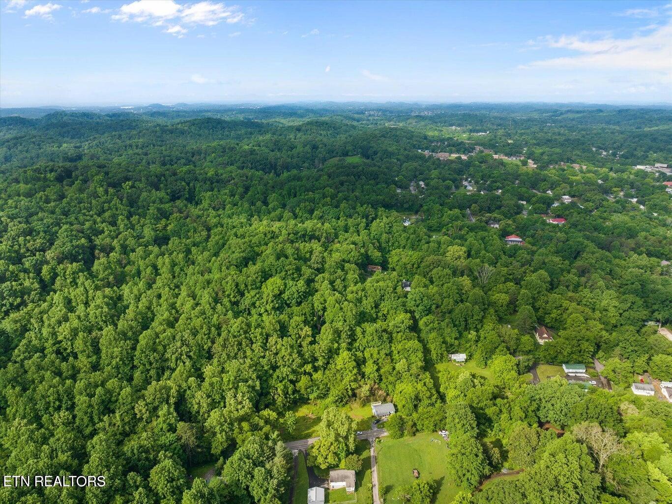 0 W Martin Mill Pike Property Photo 3