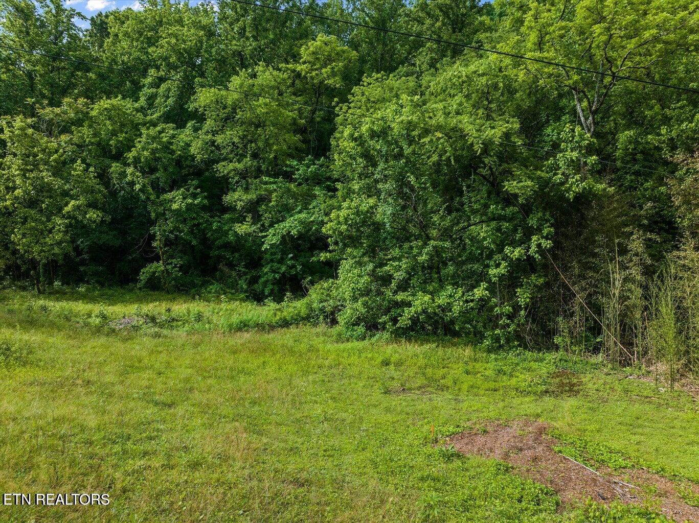 0 W Martin Mill Pike Property Photo 4