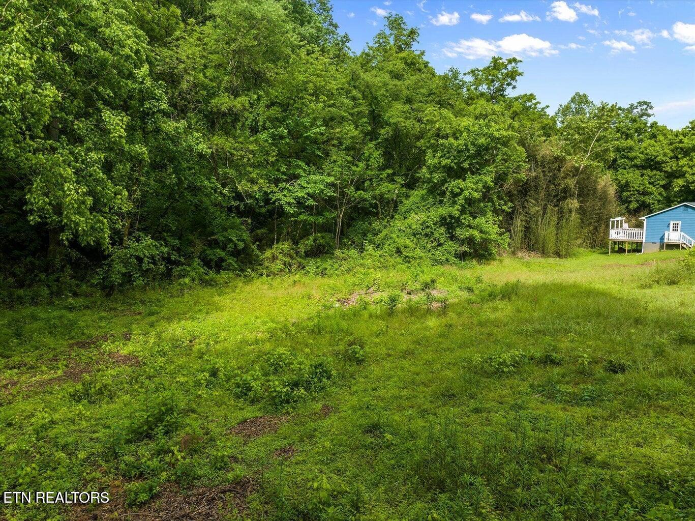 0 W Martin Mill Pike Property Photo 5