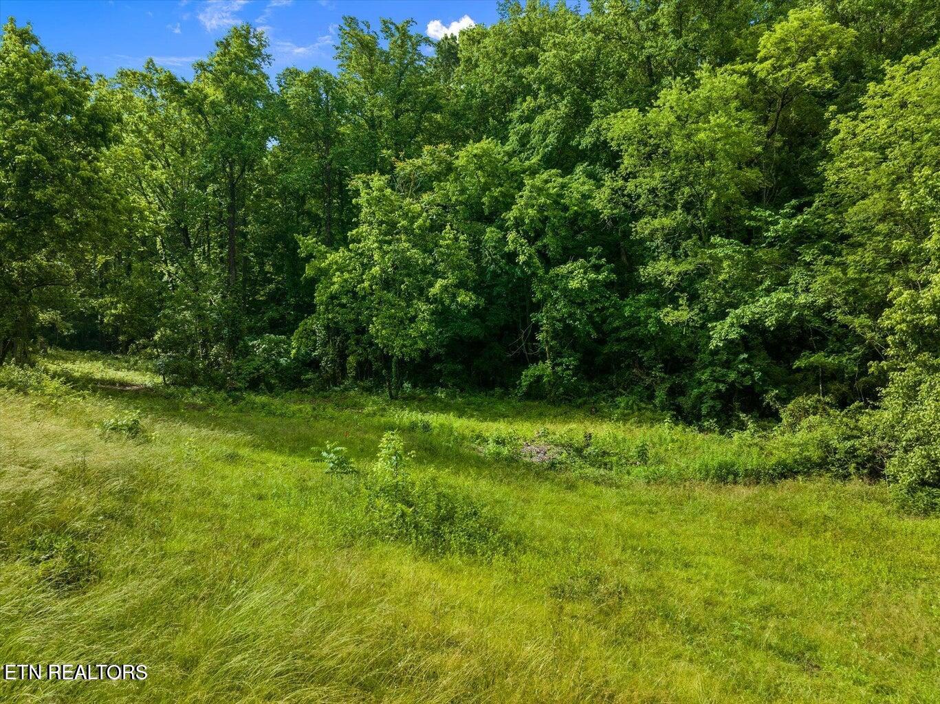 0 W Martin Mill Pike Property Photo 6