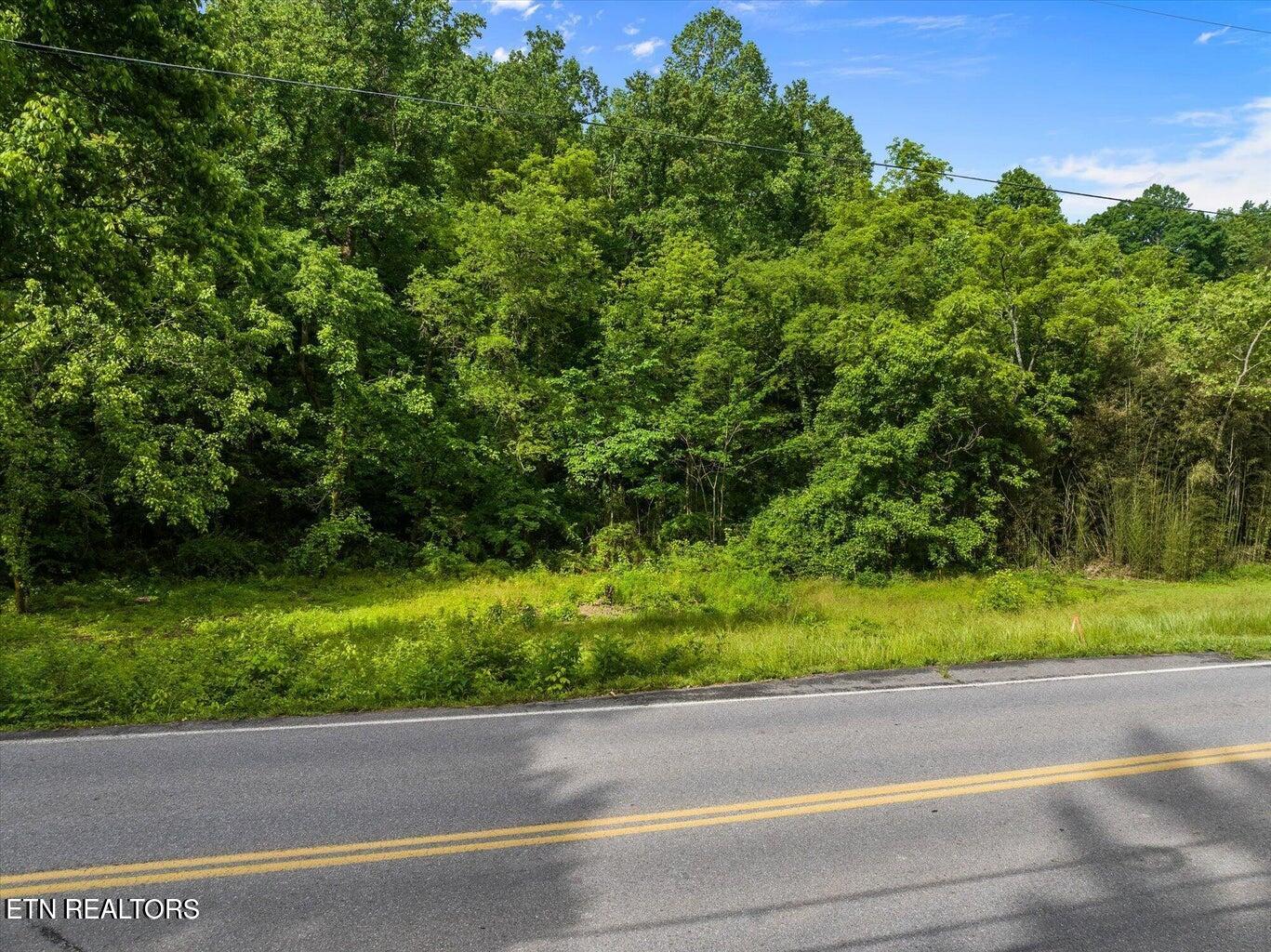 0 W Martin Mill Pike Property Photo 8