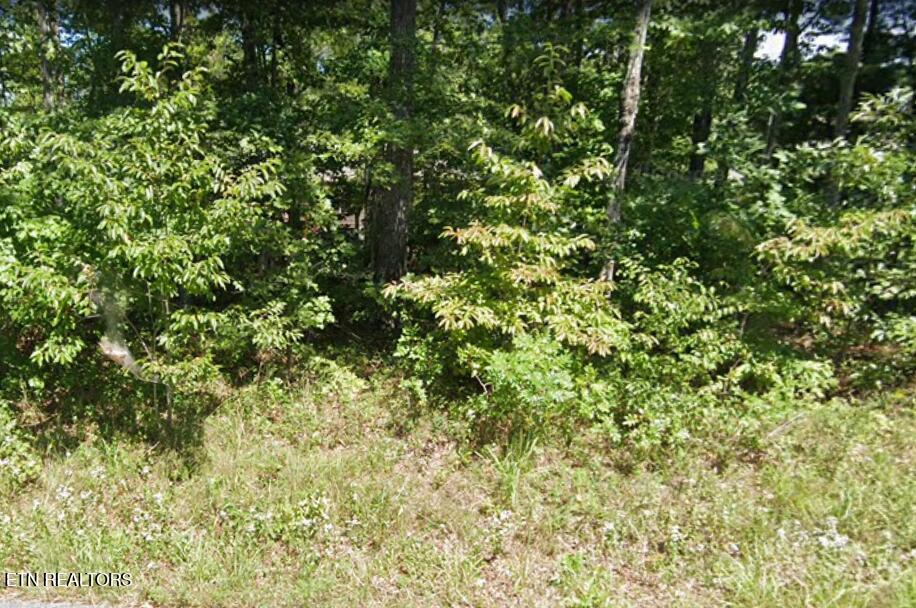 1215 Natchez Terrace Property Photo 1