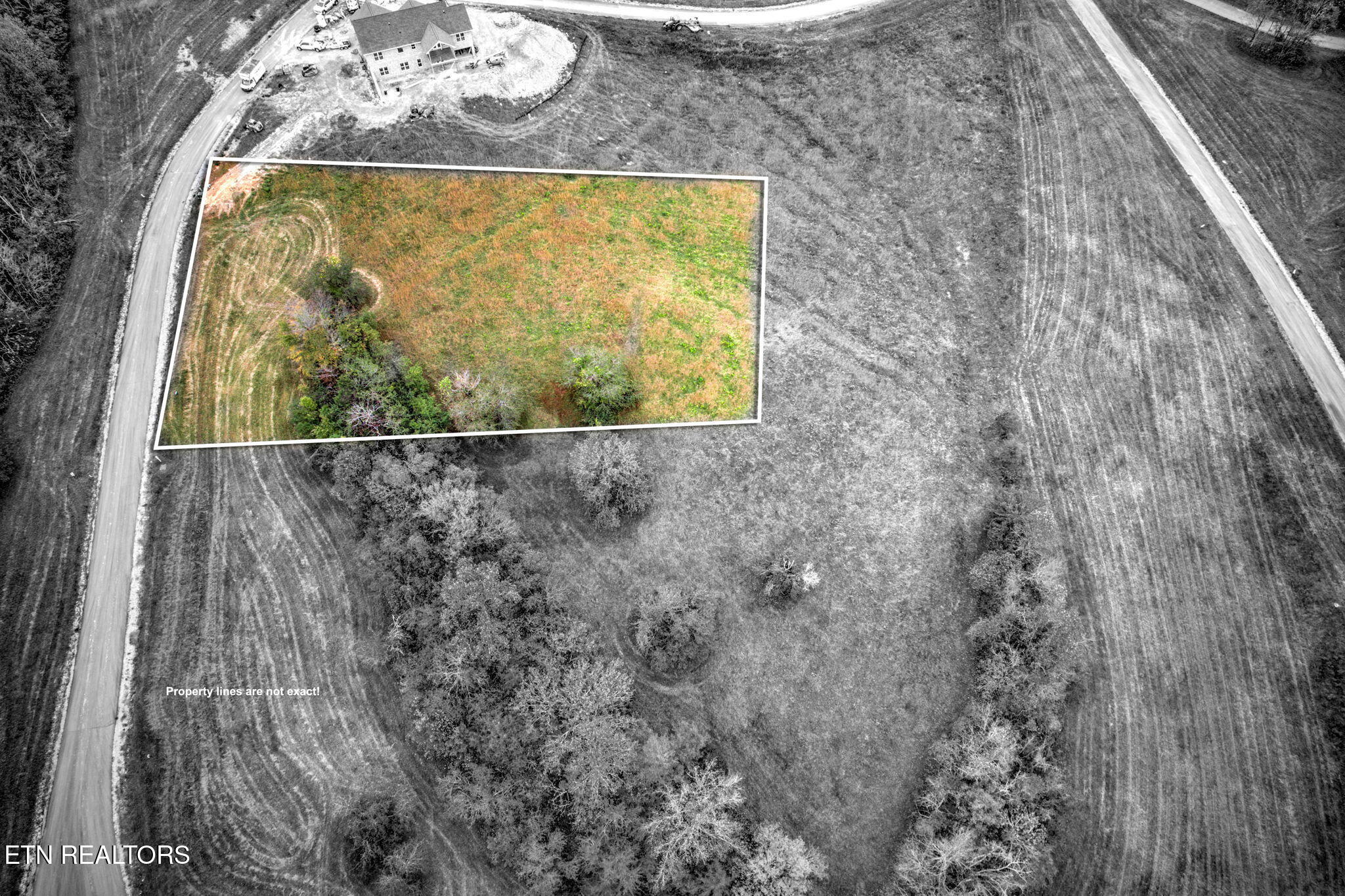 Cinnabar Drive Property Photo 12