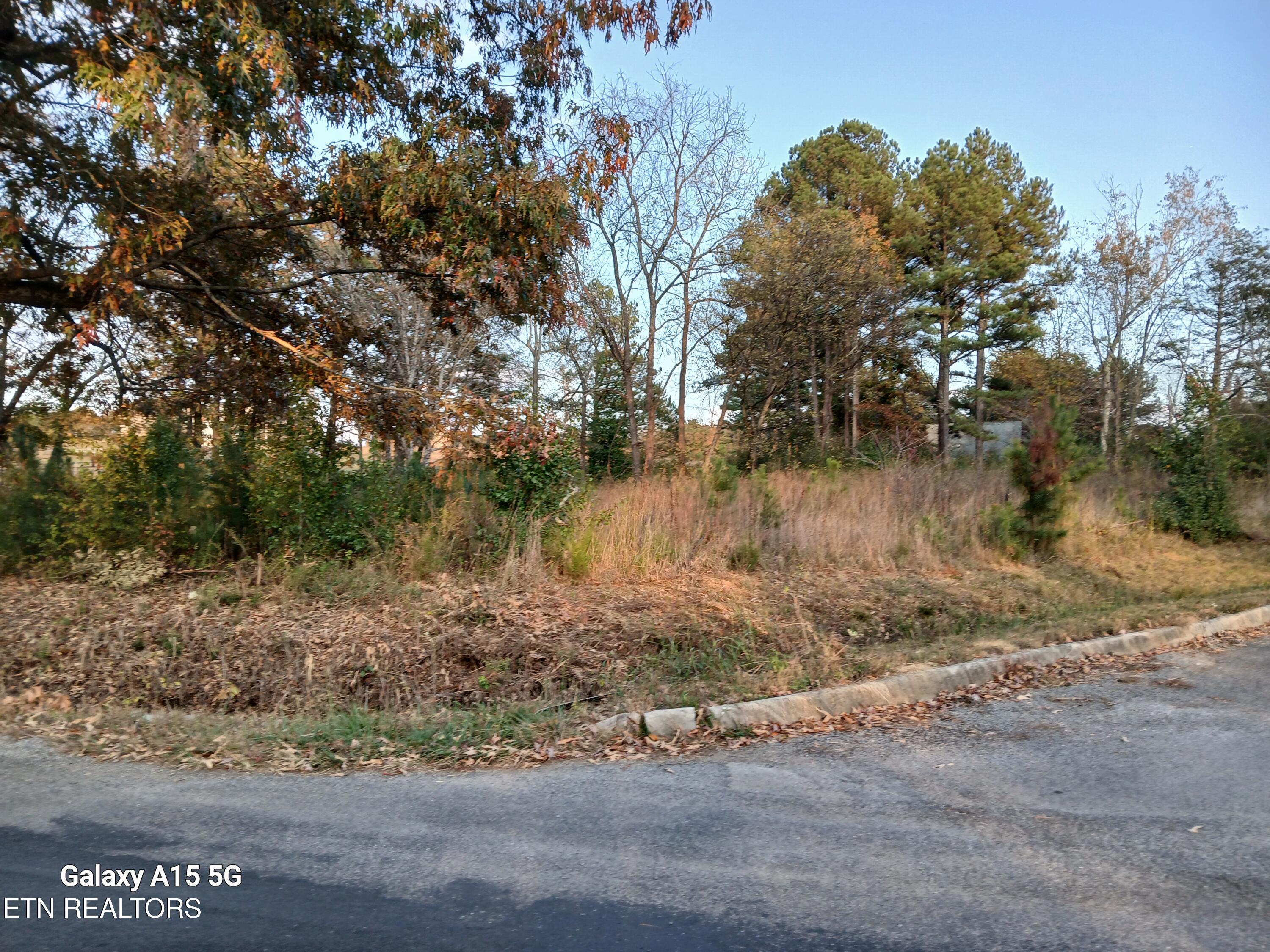 411 County Road 784 Property Photo 1