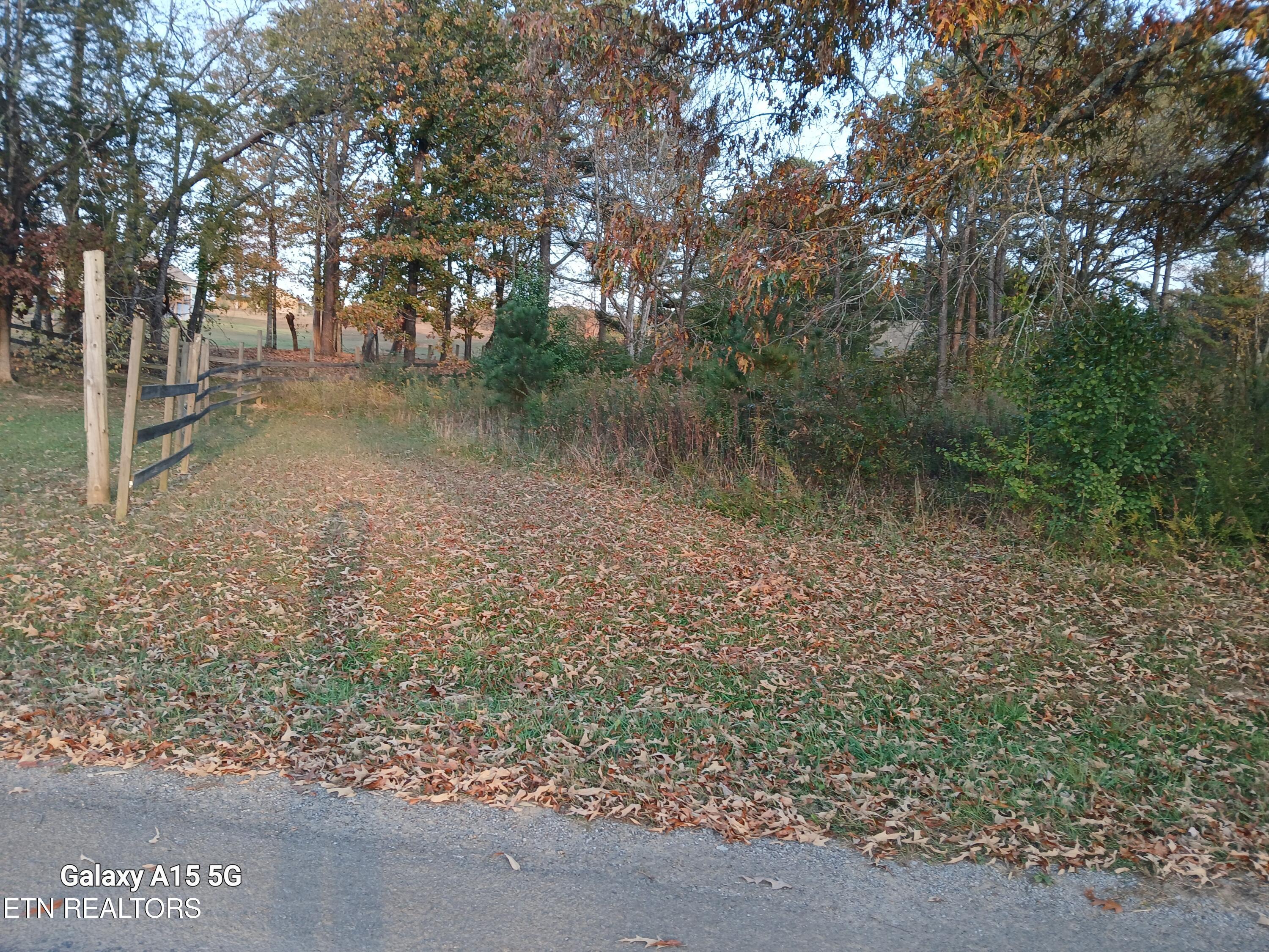 411 County Road 784 Property Photo 2