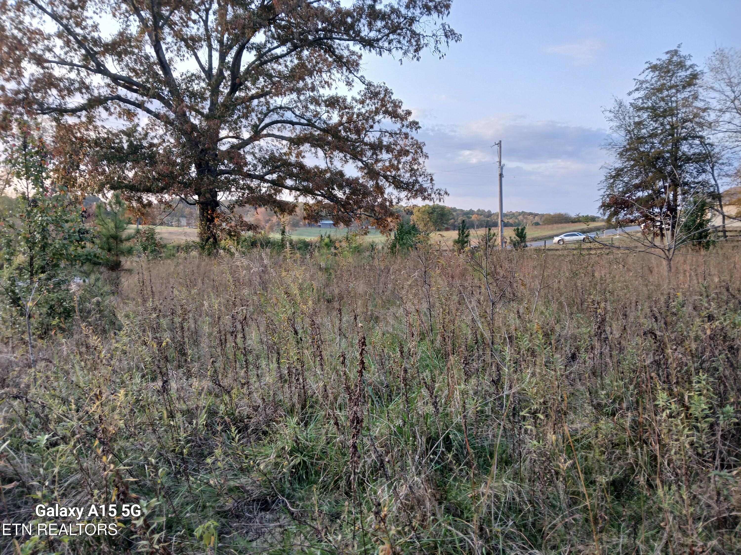 411 County Road 784 Property Photo 3