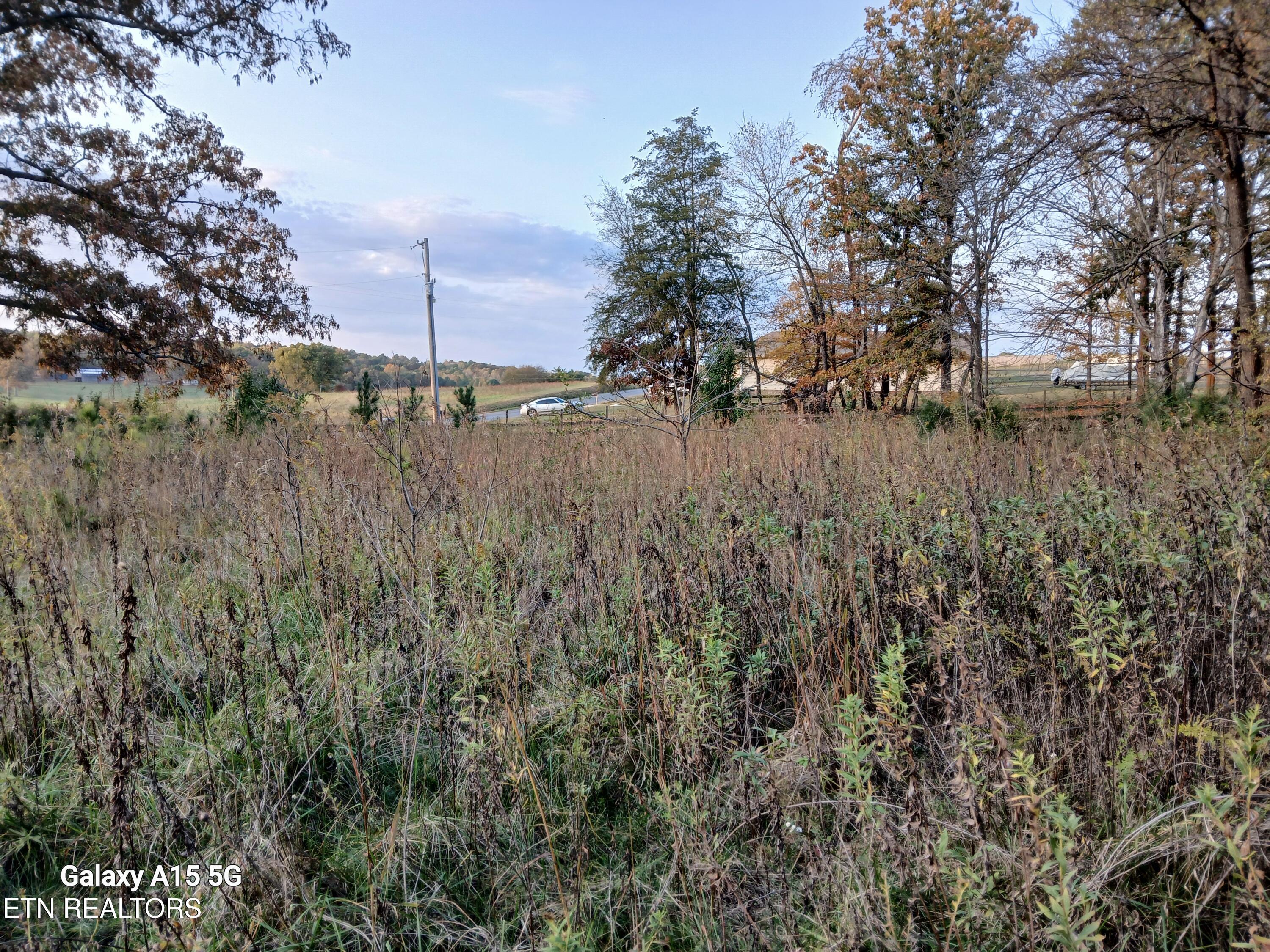 411 County Road 784 Property Photo 6