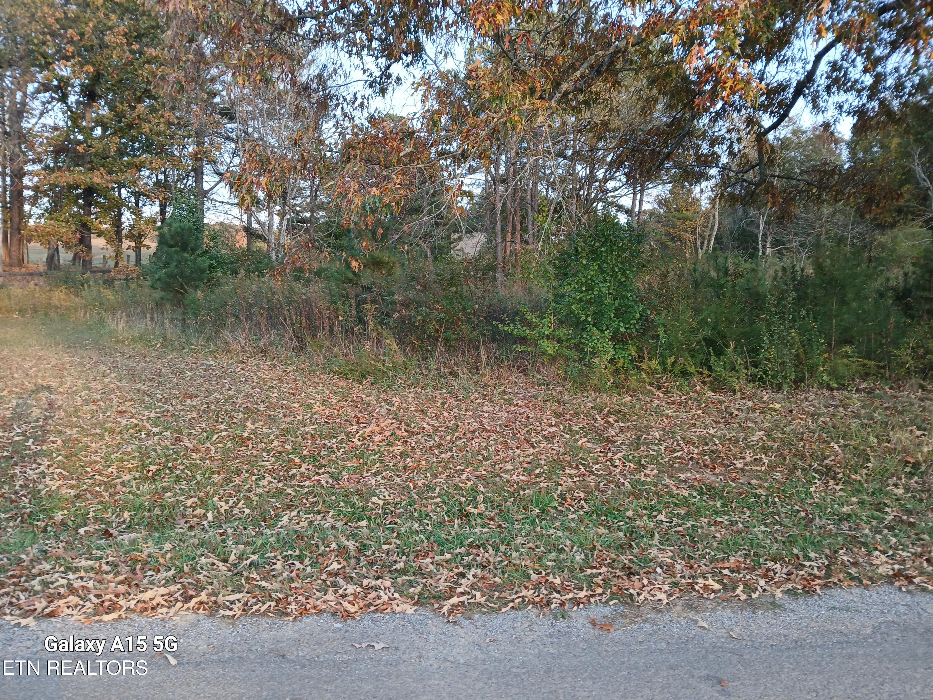411 County Road 784 Property Photo 8