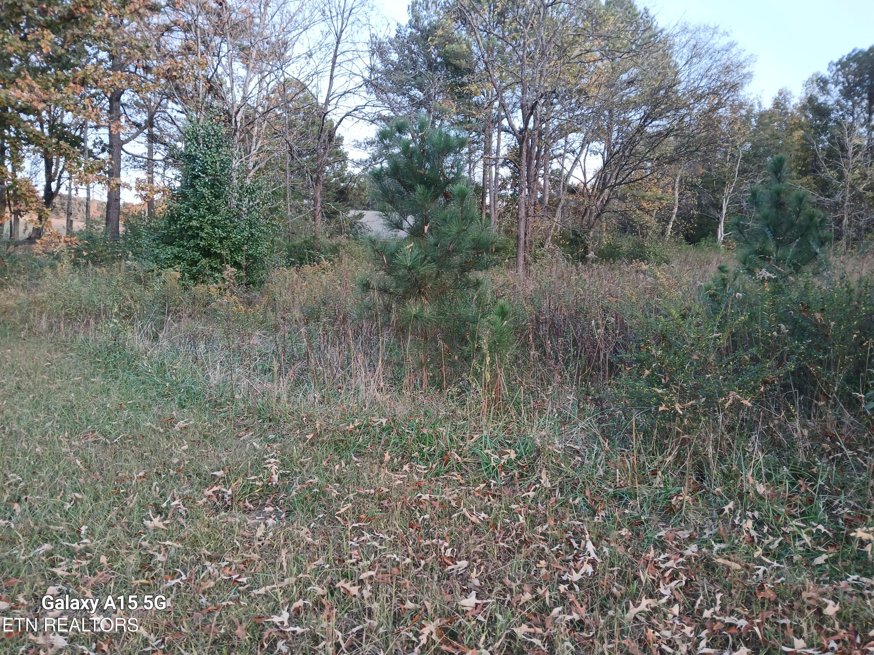 411 County Road 784 Property Photo 9