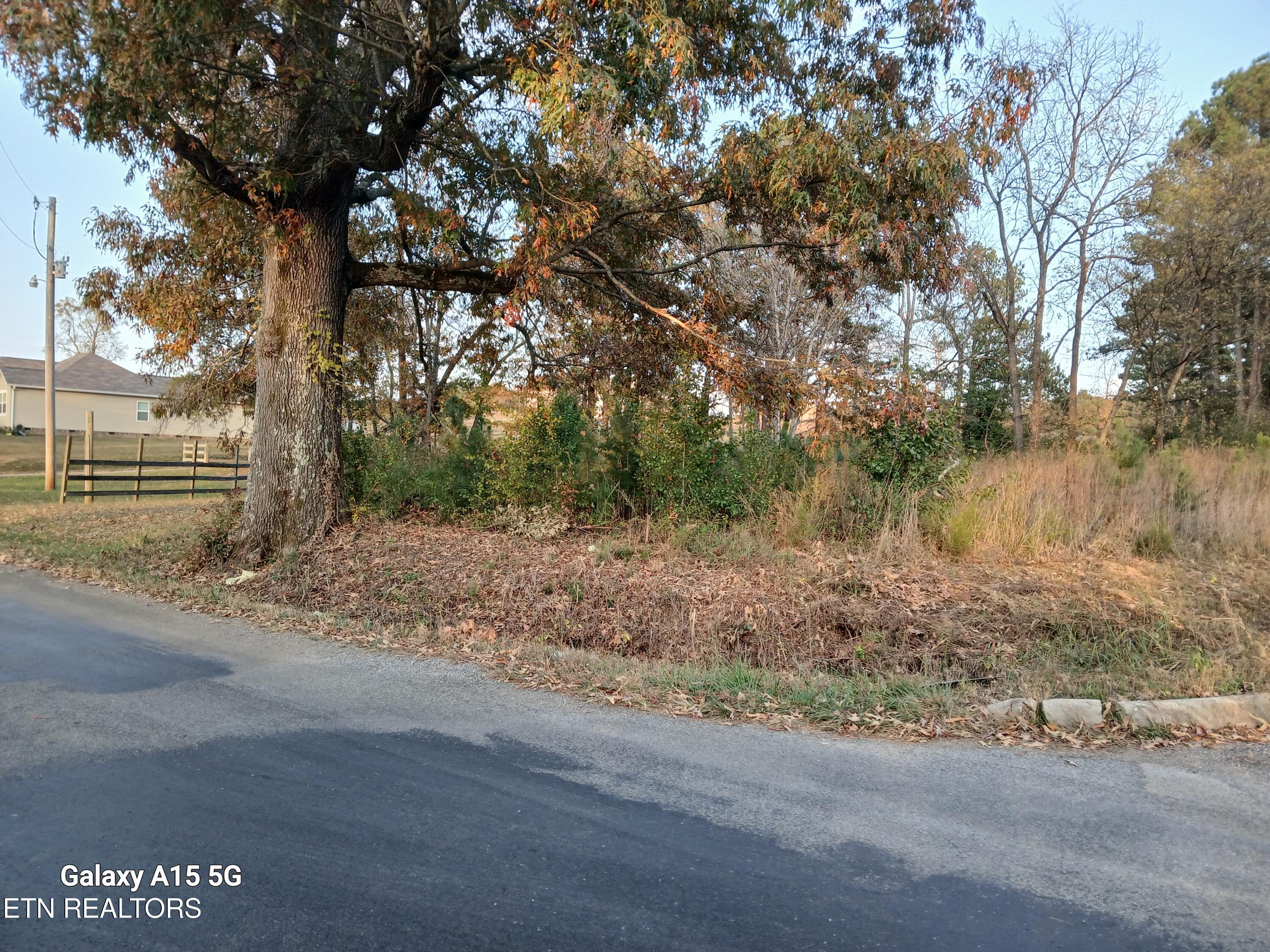 411 County Road 784 Property Photo 11