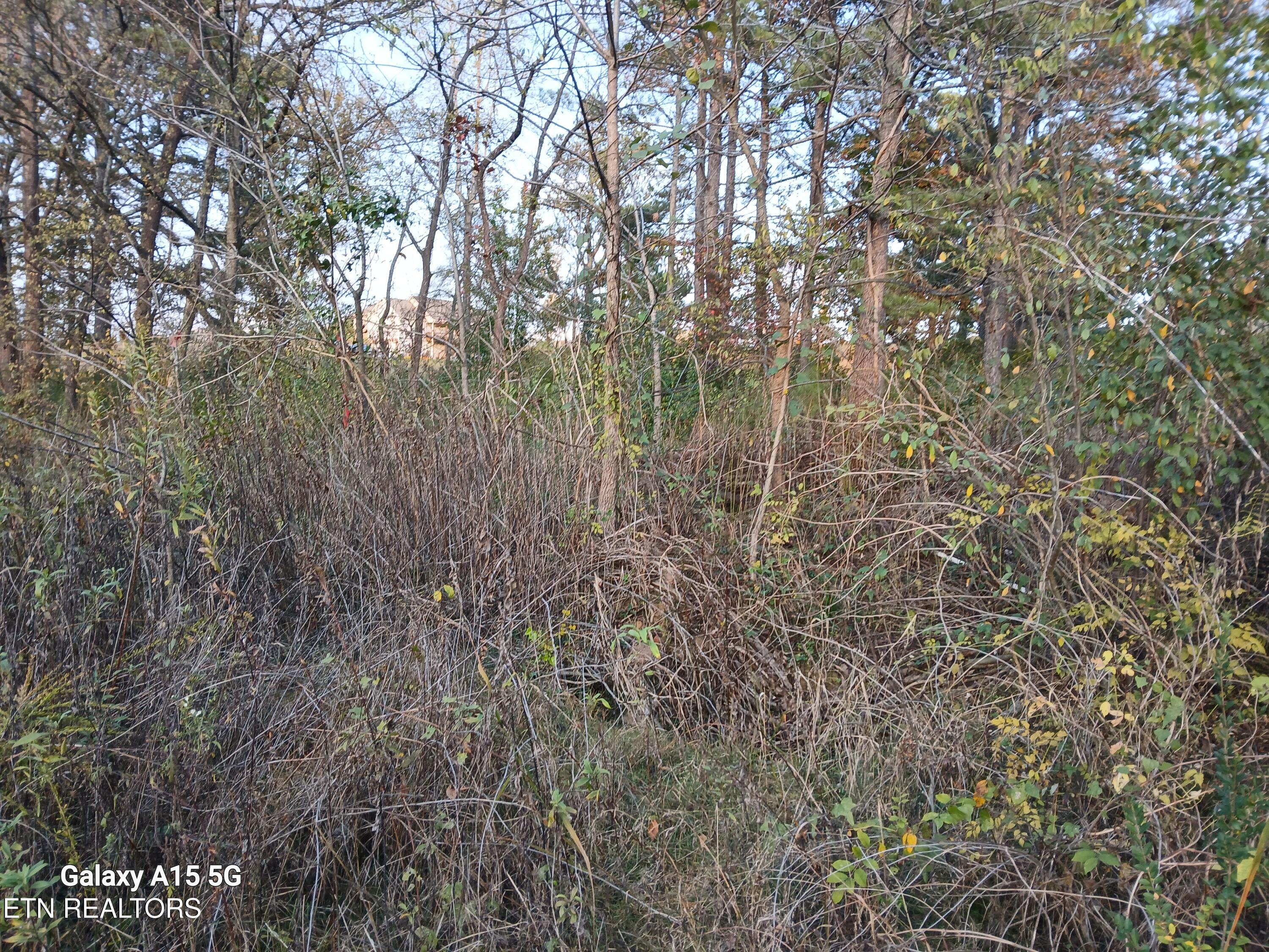 411 County Road 784 Property Photo 15