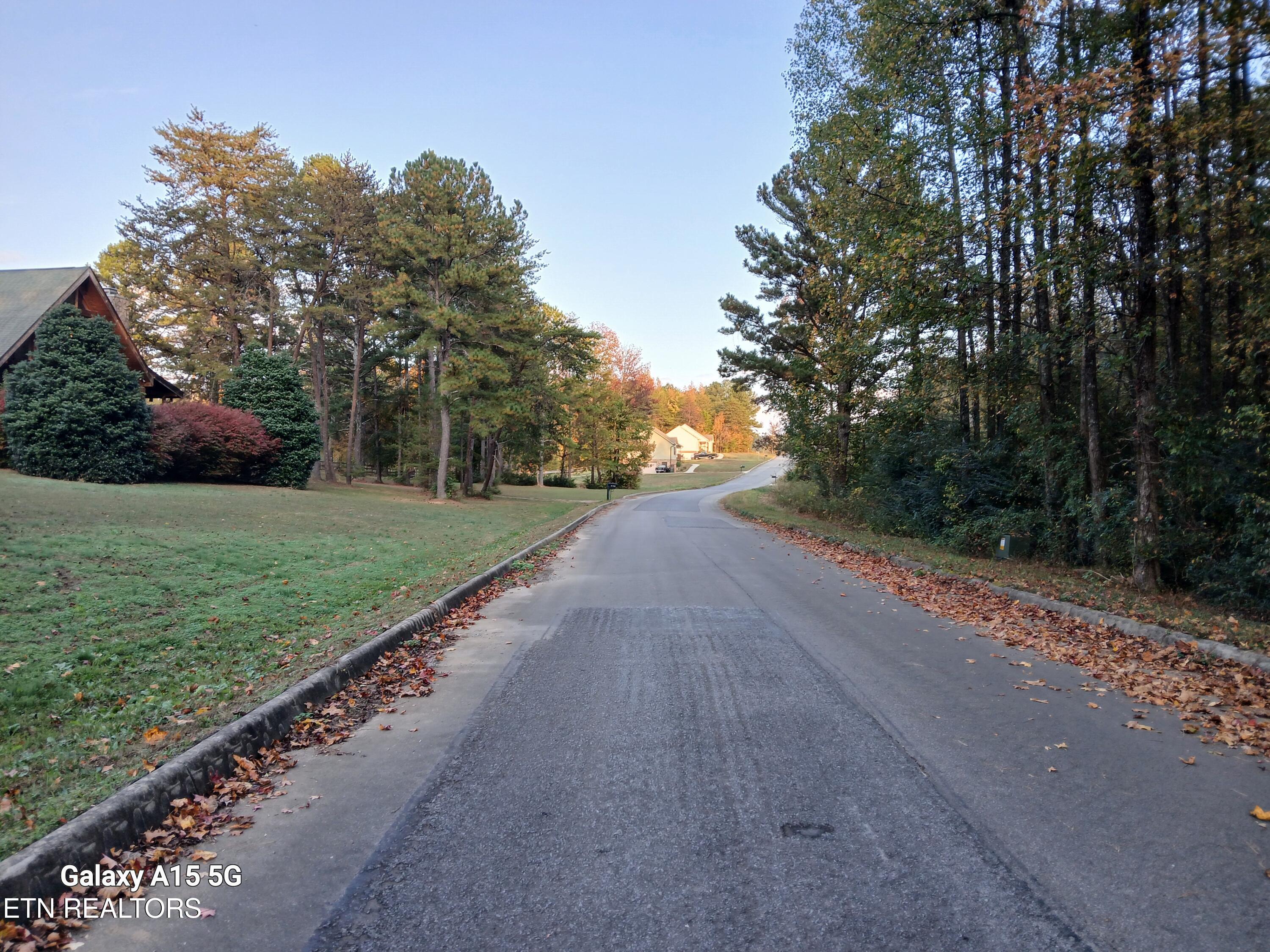 411 County Road 784 Property Photo 16